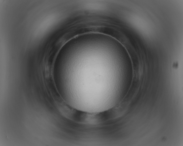 X0000092280093200709281254