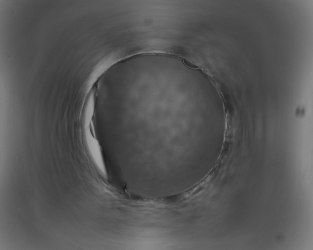 X0000092280099200709281254