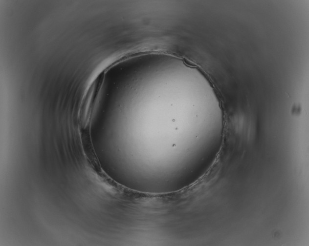 X0000092280100200709281254