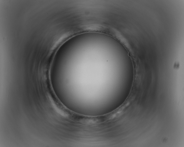 X0000092280106200709281254