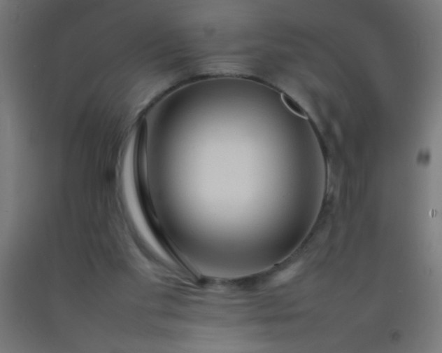 X0000092280109200709281253