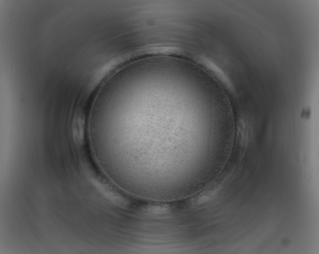 X0000092280110200709281253