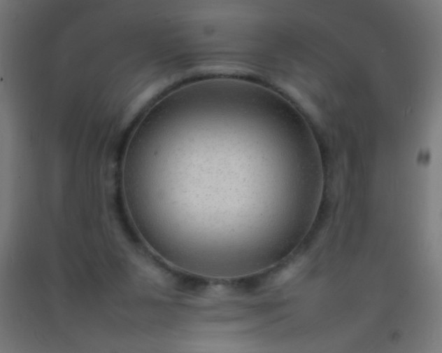 X0000092280111200709281253