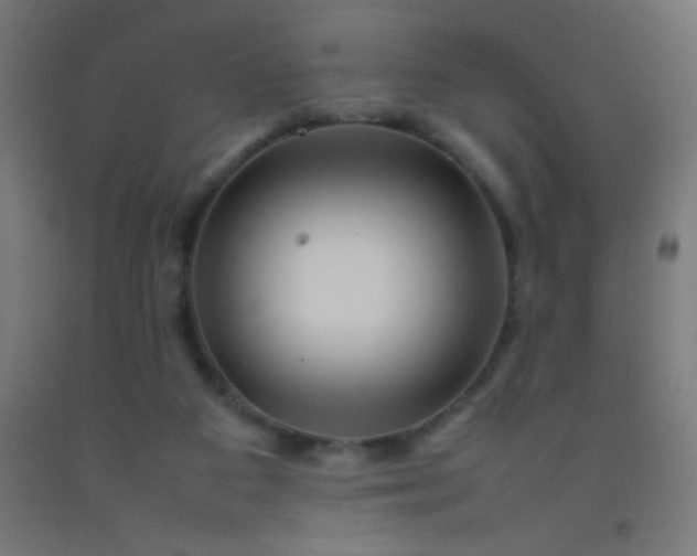 X0000092280113200709281253