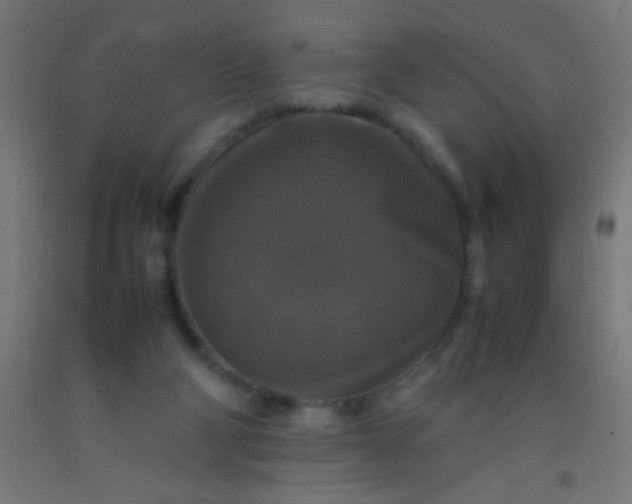 X0000092280114200709281253