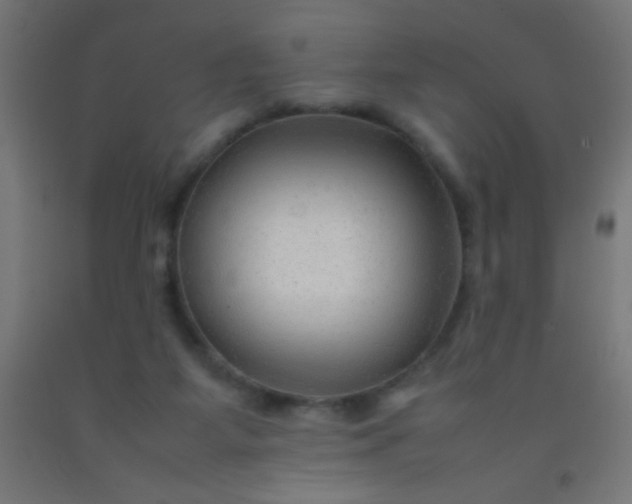 X0000092280115200709281253