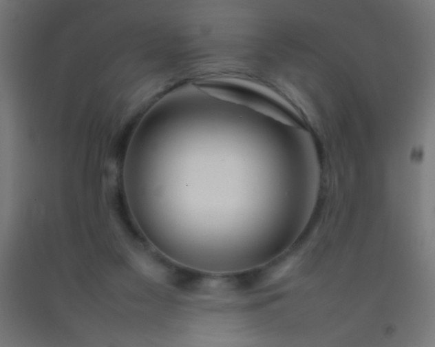 X0000092280117200709281253