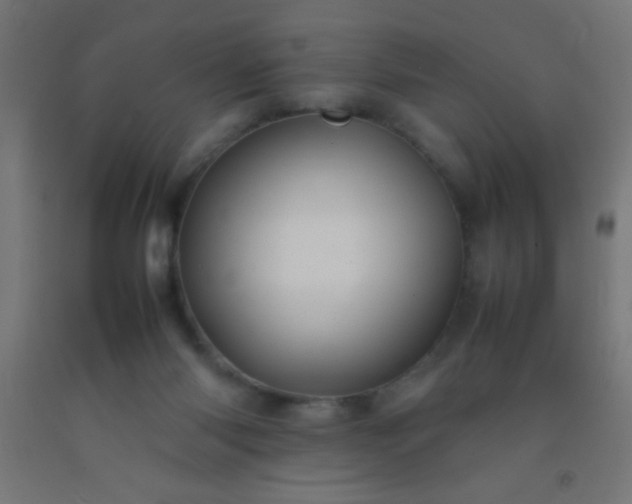 X0000092280118200709281253