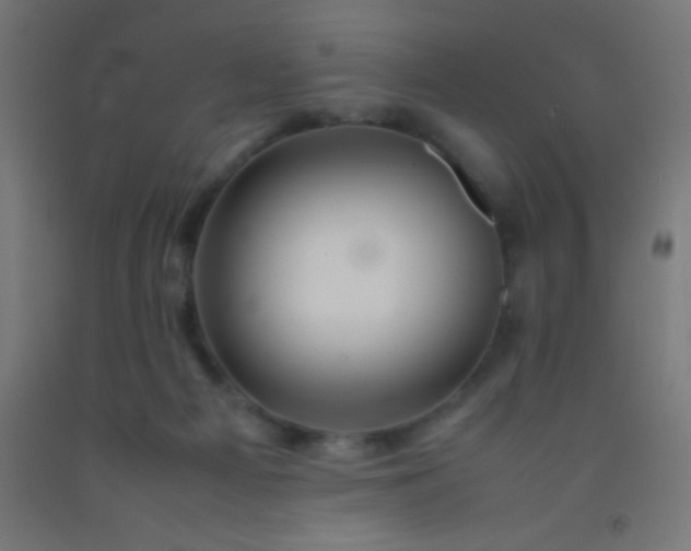 X0000092280121200709281253