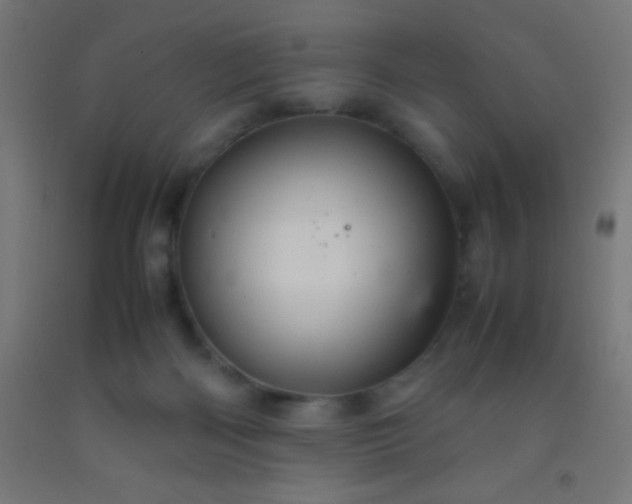 X0000092280122200709281253