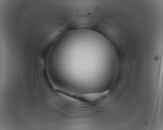 X0000092280123200709281253