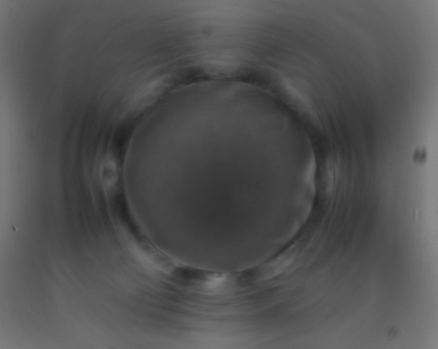 X0000092280130200709281253