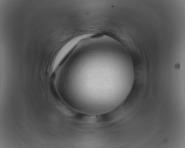 X0000092280131200709281253