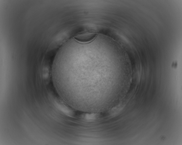 X0000092280134200709281253