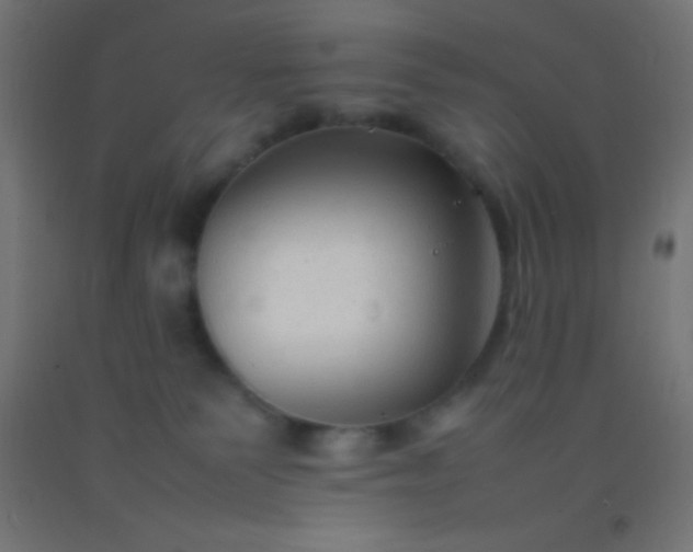 X0000092280135200709281253