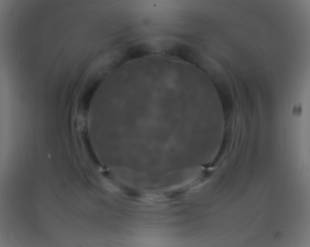 X0000092280137200709281253