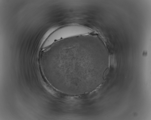 X0000092280147200709281252