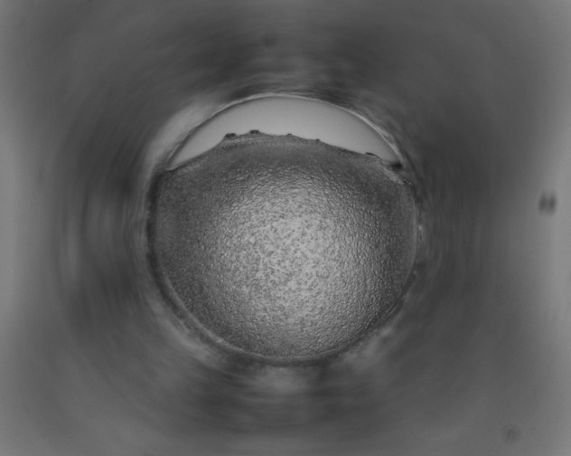 X0000092280149200709281252