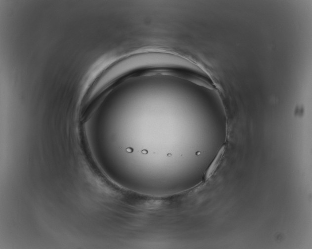 X0000092280152200709281252