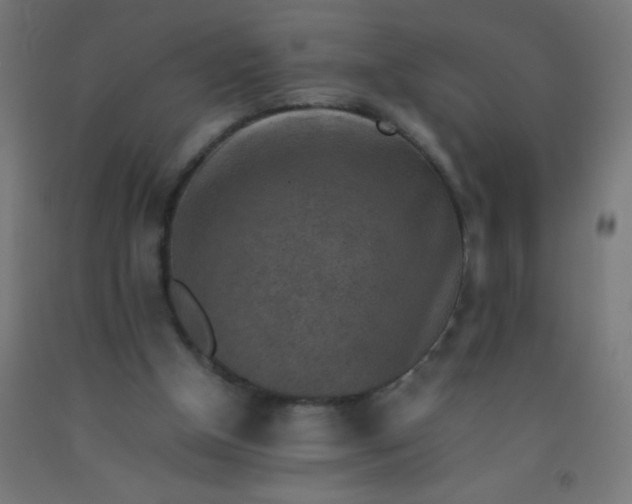 X0000092280154200709281252