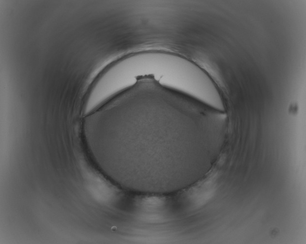 X0000092280156200709281252