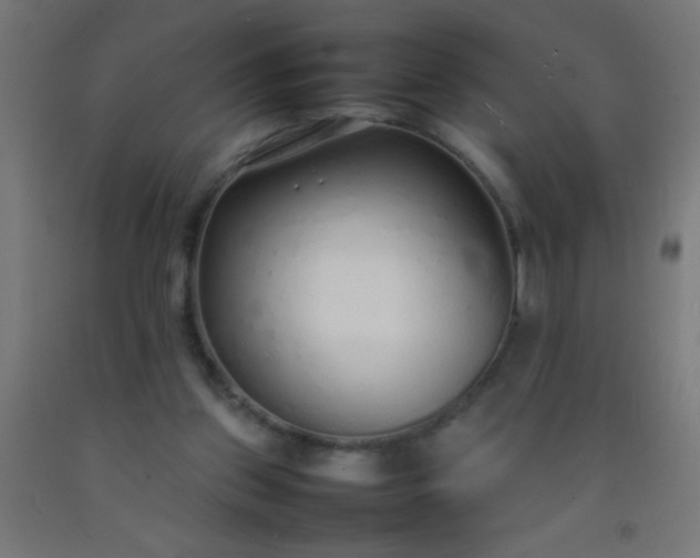 X0000092280157200709281252