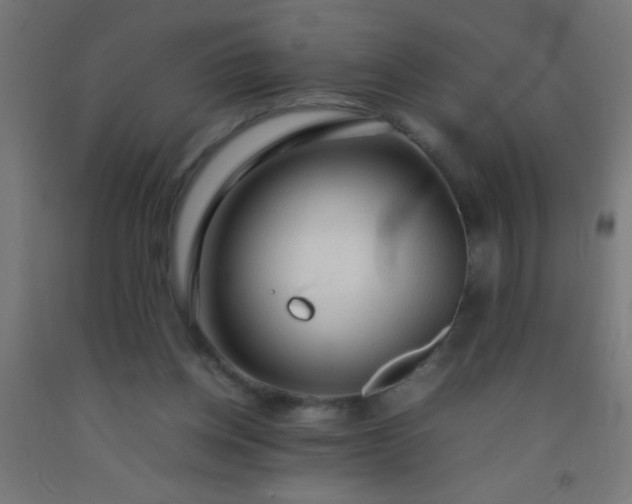 X0000092280158200709281252