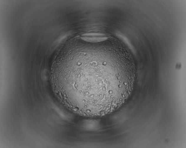 X0000092280161200709281252