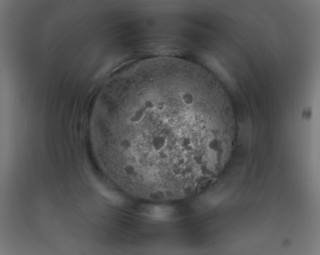 X0000092280165200709281253