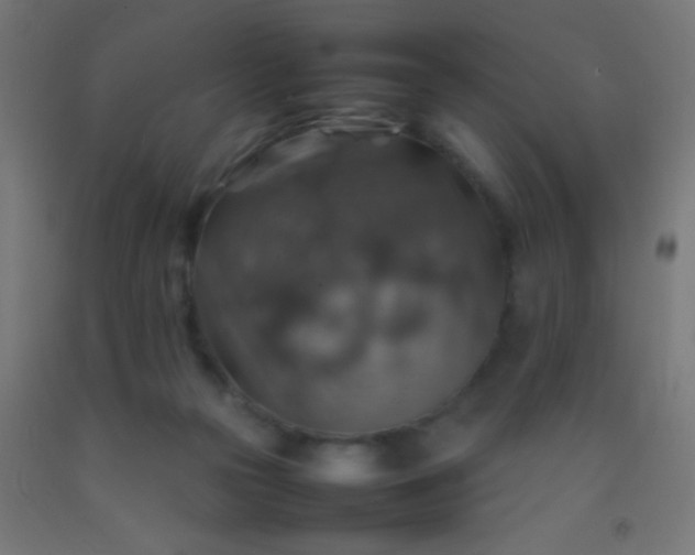 X0000092280169200709281253