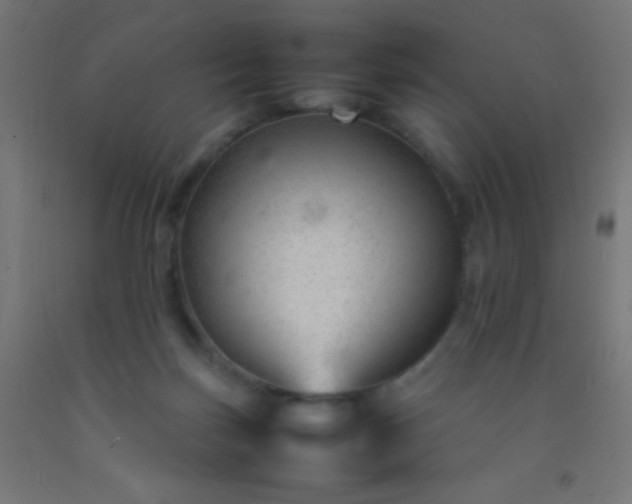 X0000092280171200709281253