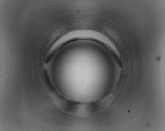 X0000092280172200709281253