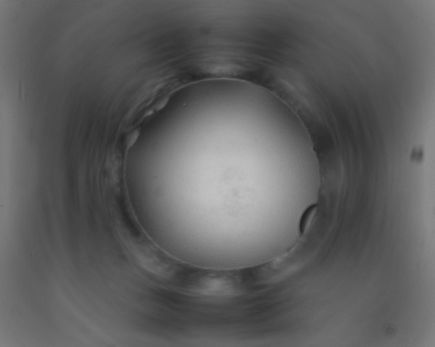 X0000092280175200709281253