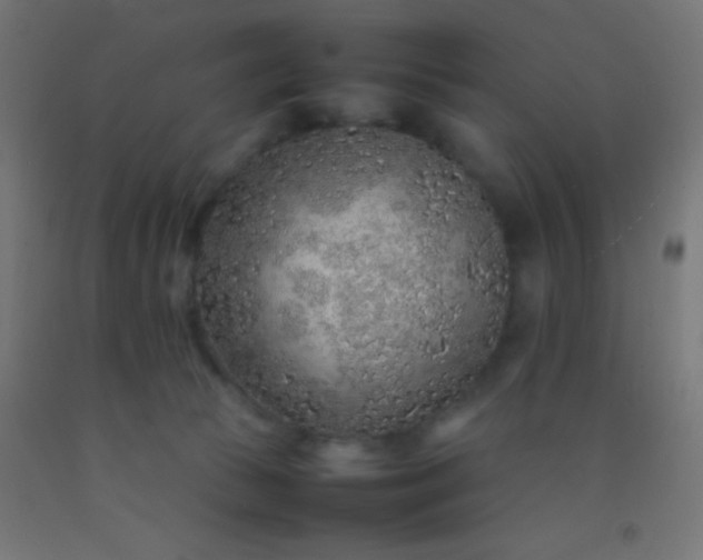 X0000092280177200709281253