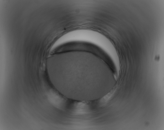 X0000092280180200709281253