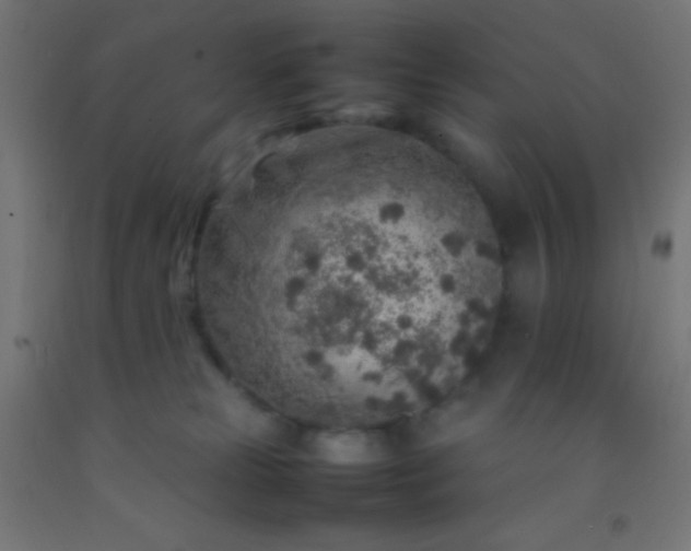 X0000092280181200709281253