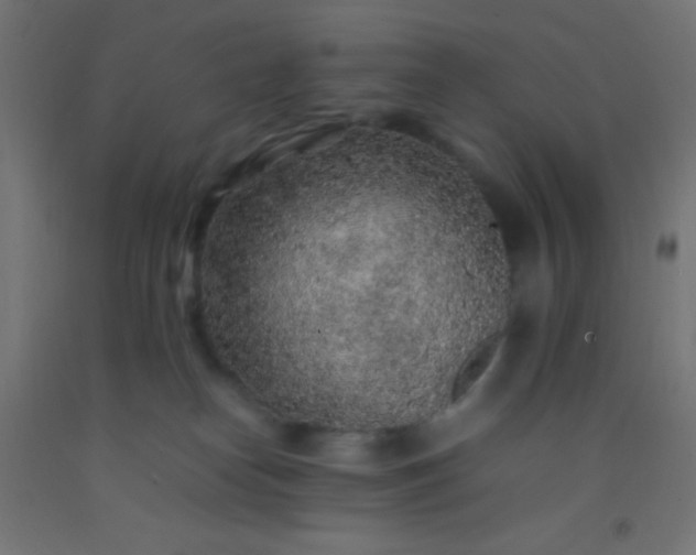 X0000092280182200709281253