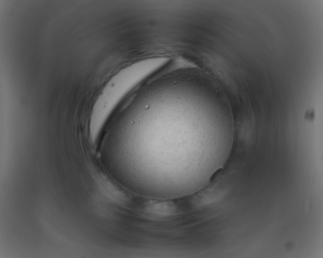 X0000092280185200709281253