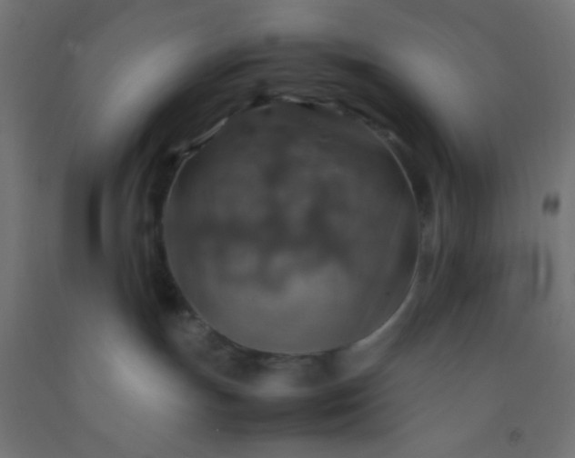 X0000092280191200709281253