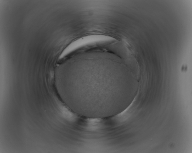 X0000092280192200709281253