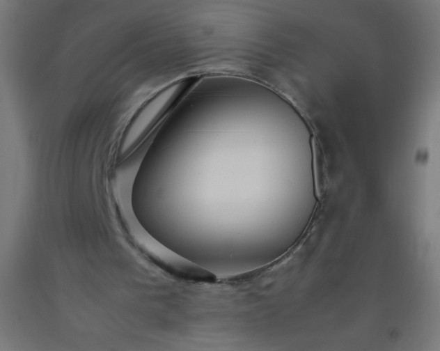 X0000092280193200709281252