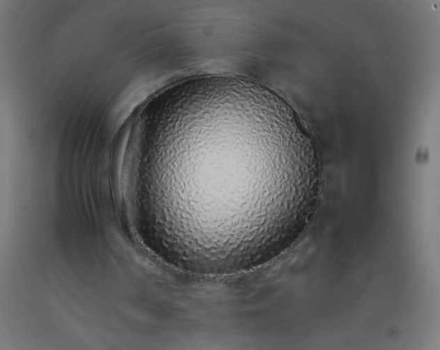 X0000092280194200709281252