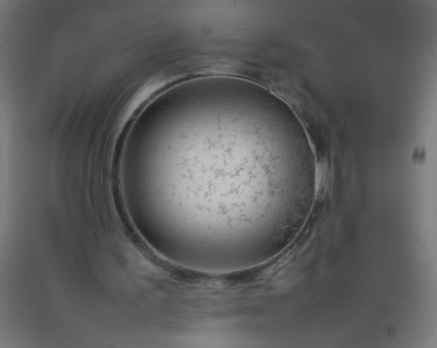 X0000092280195200709281252