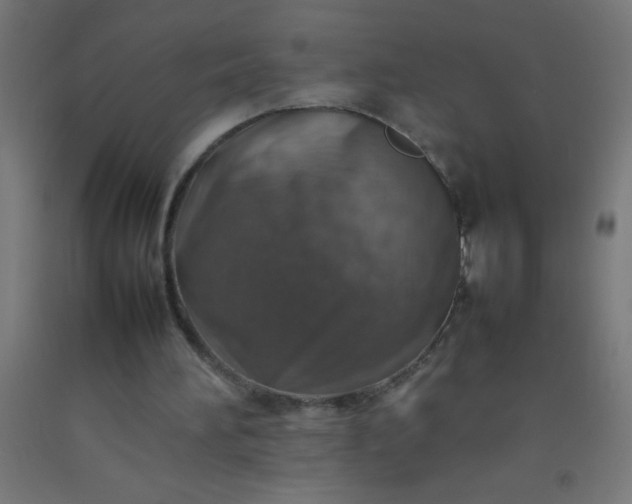 X0000092280196200709281252