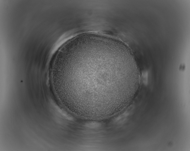 X0000092280198200709281252