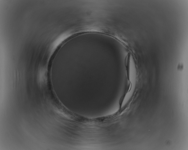 X0000092280200200709281252