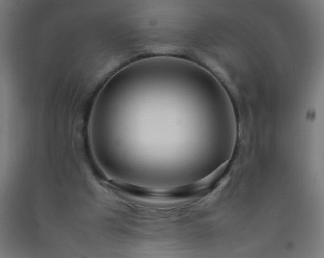 X0000092280201200709281252