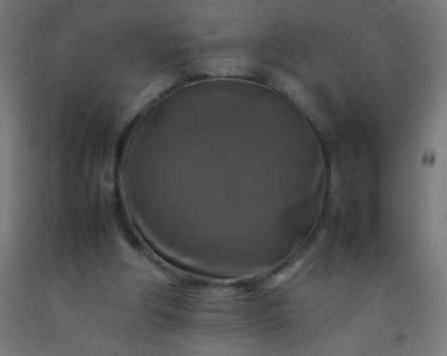 X0000092280202200709281252