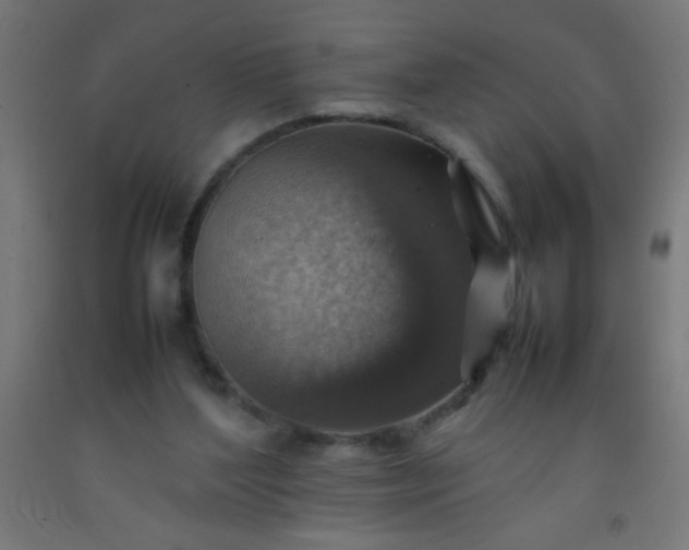 X0000092280204200709281252