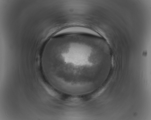 X0000092280205200709281252